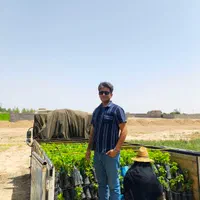 نهال انگور رو از منه تولید کننده بخر، نه دلال.|خدمات باغبانی و درختکاری|شیراز, باغشهر اهل بیت|دیوار