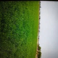 راننده تراکتور وارد به کار باادوات برش یونجه