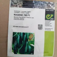 برز خیار ناگینf1