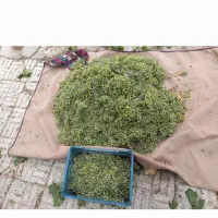 منزل ویلایی|فروش خانه و ویلا|بوئین و میاندشت, |دیوار