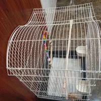 2تاقفس پرنده یدونه نوویکی استفاده شده|لوازم جانبی حیوانات|کیش, |دیوار