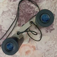 دو عدد دوربین شکاری ژاپنی|کوهنوردی و کمپینگ|شیراز, ارم|دیوار