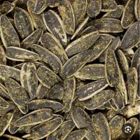 تخمه