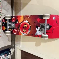 اسکیت برد حرفه ای