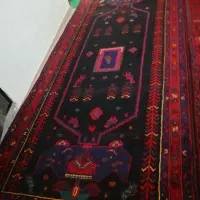 قالی کردی طرح خرسک کاملاسالم وبدون مشکل|فرش|سنندج, |دیوار