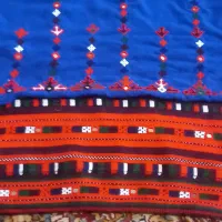 زیا ستین