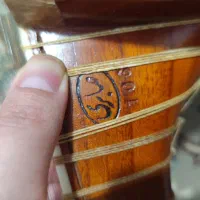 تار سازنده صابری|سازهای سنتی|تنکابن, |دیوار