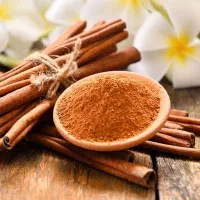 فروش ویژه پودردارچین