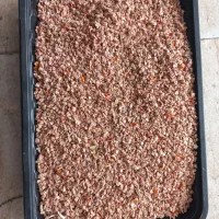 بذرگوجه|خدمات باغبانی و درختکاری|اصفهان, ارداجی|دیوار