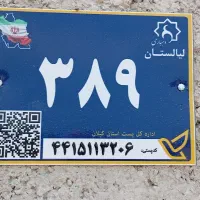 کار در کارواش