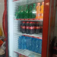 سالندار جگرکی