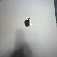 IPad Pro m4/256/black 13inch