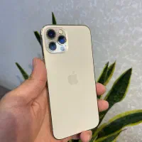 اپل ایفون۱۲ پروگلدبدون بازشدگی معاوضه و فروش اقساط|موبایل|اصفهان, مفتح|دیوار