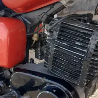 امزد MZ251 چوپا آلمانی