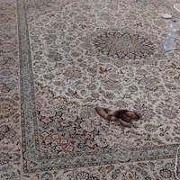 فرش