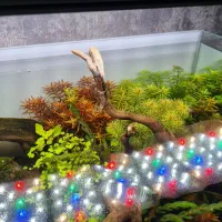 ال ای. دی حرفه ای ats|ماهی|اهواز, اسماعیلیه|دیوار