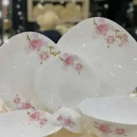 ارکوپال نو