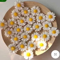 شمع گل بابونه عمده ایی|صنایع دستی و سایر لوازم تزئینی|اصفهان, دشتستان|دیوار