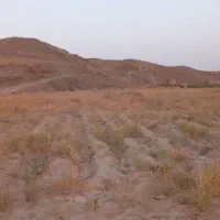 باغچه 1000 متری ملک آباد نزدیک شهر|فروش دفتر صنعتی، کشاورزی، تجاری|ملک‌آباد, |دیوار