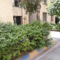 رهن آپارتمان ۶۰ متری ۱ خوابه طبقه ۲ در ریاستی|اجارهٔ آپارتمان|شیراز, ریاستی|دیوار