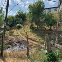 متراژ 724 متر مربع دارای سند تک برگ