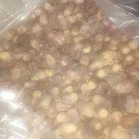 خرمازاهدی درجه یک