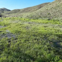 فروش باغ ویلا|فروش خانه و ویلا|نطنز, |دیوار