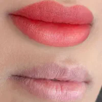 شیدینگ لب( تخفیف بهاره)