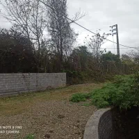 زمین|فروش زمین و ملک کلنگی|چالوس, |دیوار