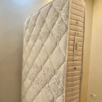 تشک اصل داتیس فنری