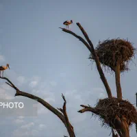 باغ-آب-برق