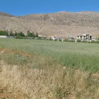 زمین بکر  سپیدان  هماشهر  تیس خانی|فروش زمین و ملک کلنگی|همایجان, |دیوار