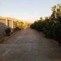 اجاره-زمین-قصر-قمشه-کوچه-کابل-سازی
