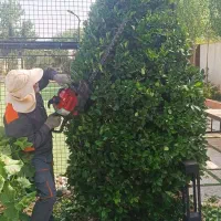 باغبانی|خدمات باغبانی و درختکاری|تهران, تجریش|دیوار