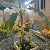 فروش ویلا 130 متر بنا 95 متر