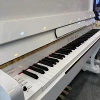 پیانو طرح اکوستیک YAMAHA DPH620|پیانو، کیبورد، آکاردئون|شیراز, ابیوردی|دیوار