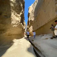 گشت جزیره داوطلبانه