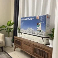 تلویزیون ال جی ۴۳ اینچ، پنل شکسته