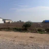 زمین ۲۳۰۰ متری استثنایی ساحل ۳۵ جاده قدیم