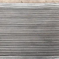 رابیس  و فوم