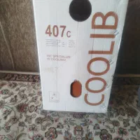 کپسول 407