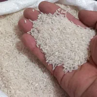 سر لاشه فجر