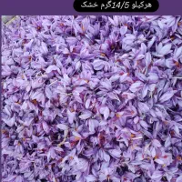گل زعفران عیاربالا