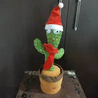 کاکتوس سخنگو|اسباب‌‌بازی|بندر انزلی, مسکن مهر|دیوار