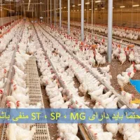 مرغ داری رهن وا جاره