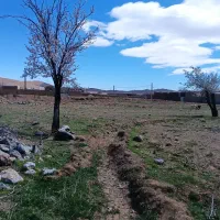 فروش-زمین