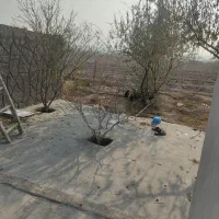 فروش باغ پسته|فروش خانه و ویلا|یامچی, |دیوار