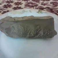 سنگ فسیلی با ارزش