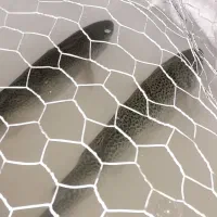 ماهی قزل آلا زنده ۷۵۰ گرمی تا یک کیلویی