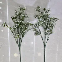 کاکتوس غوره ای آبشاری برگ گل بوته برفی عروس